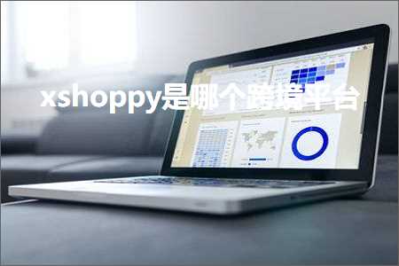 跨境电商知识:xshoppy是哪个跨境平台