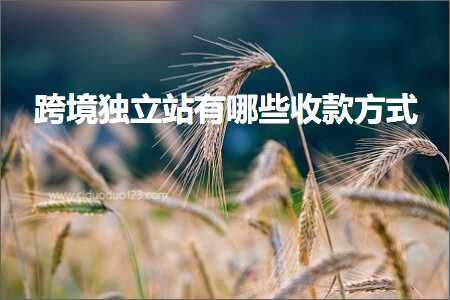 跨境电商知识:跨境独立站有哪些收款方式