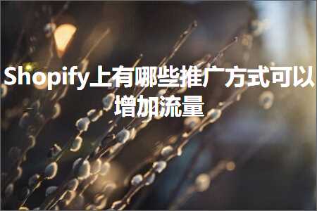 璺ㄥ鐢靛晢鐭ヨ瘑:Shopify涓婃湁鍝簺鎺ㄥ箍鏂瑰紡鍙互澧炲姞娴侀噺