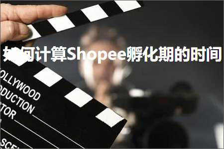 跨境电商知识:如何计算Shopee孵化期的时间