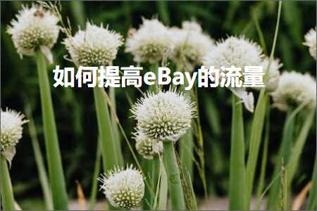 璺ㄥ鐢靛晢鐭ヨ瘑:濡備綍鎻愰珮eBay鐨勬祦閲? width=