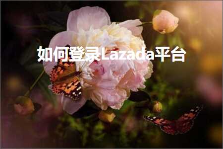 璺ㄥ鐢靛晢鐭ヨ瘑:濡備綍鐧诲綍Lazada骞冲彴