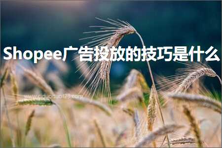 璺ㄥ鐢靛晢鐭ヨ瘑:Shopee骞垮憡鎶曟斁鐨勬妧宸ф槸浠€涔? width=