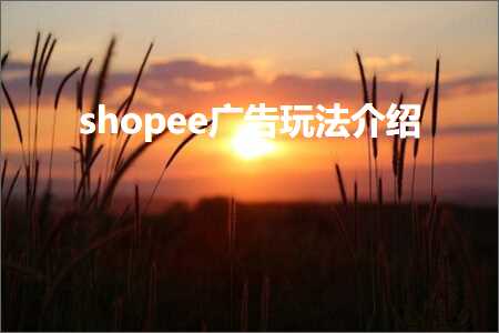 跨境电商知识:shopee广告玩法介绍