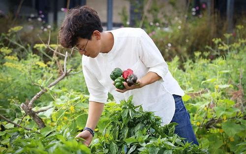 杩斾埂鍒涗笟鍋氫粈涔堝ソ