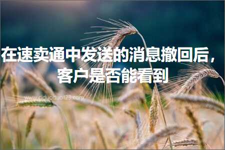 跨境电商知识:在速卖通中发送的消息撤回后，客户是否能看到